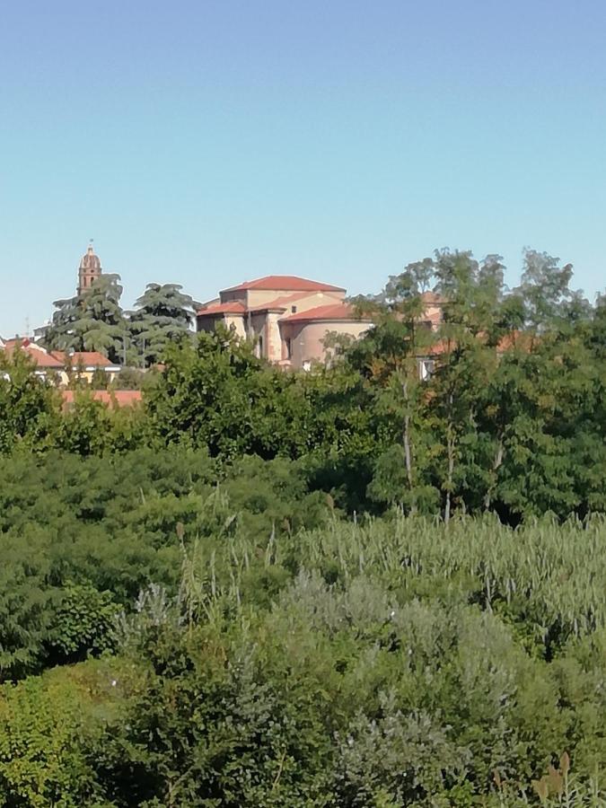 Affittacamere Mark Faenza Bagian luar foto